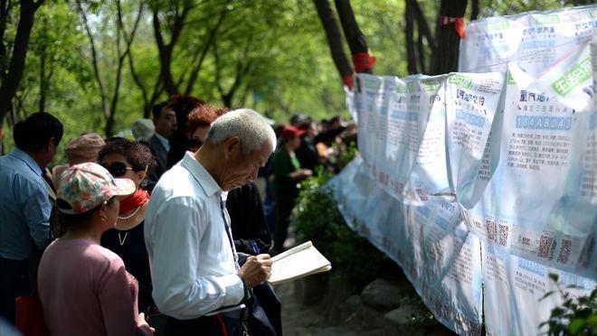  黄昏恋的博弈：七旬老人相亲背后的保险考验与理性抉择 情感心理