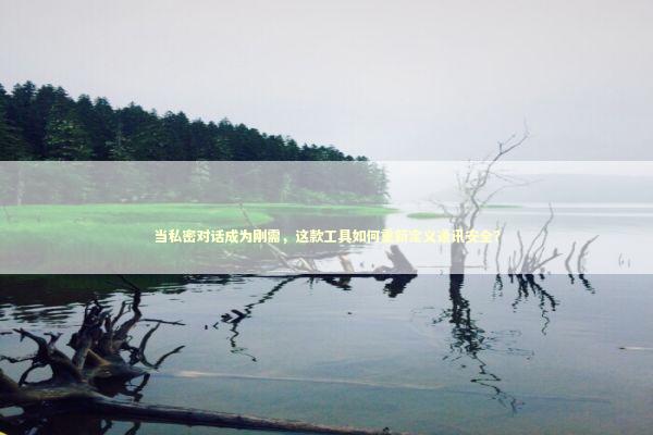 当私密对话成为刚需，这款工具如何重新定义通讯安全？