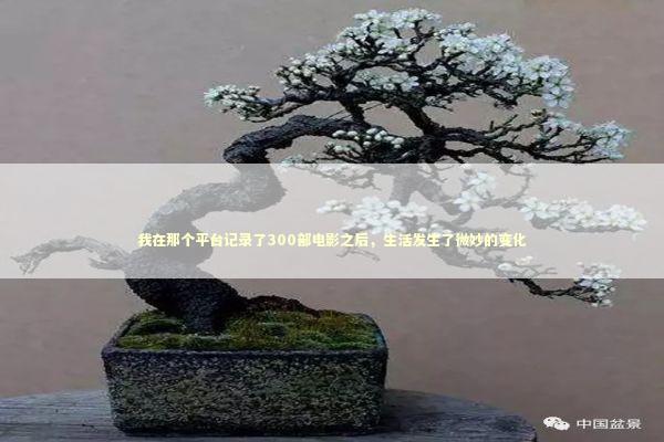 我在那个平台记录了300部电影之后，生活发生了微妙的变化