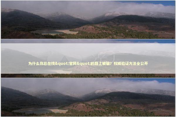 为什么你总在找"官网"的路上被骗？权威验证方法全公开
