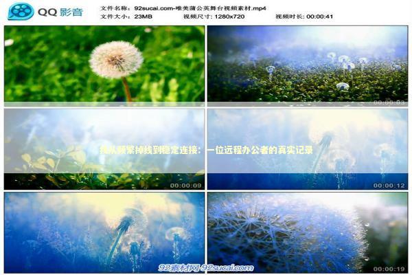 我从频繁掉线到稳定连接：一位远程办公者的真实记录
